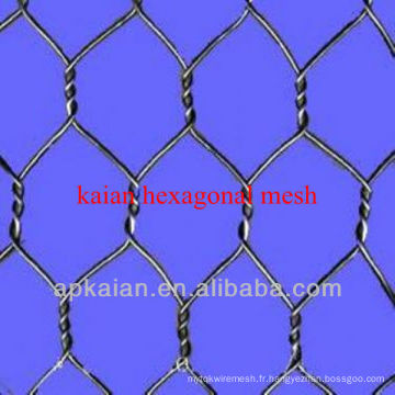 Hebei anping KAIAN mesh hexagonal